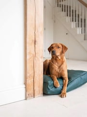 Lords and Labradors Green Handled Dog Cushion Rhino Leather - Image 1 of 5