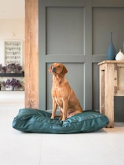 Lords and Labradors Green Handled Dog Cushion Rhino Leather - Image 2 of 5