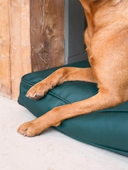 Lords and Labradors Green Handled Dog Cushion Rhino Leather - Image 4 of 5