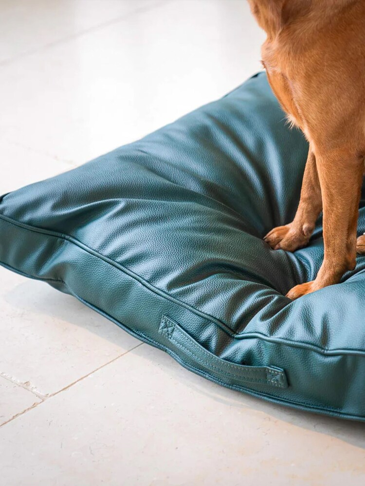 Lords and Labradors Green Handled Dog Cushion Rhino Leather - Image 5 of 5
