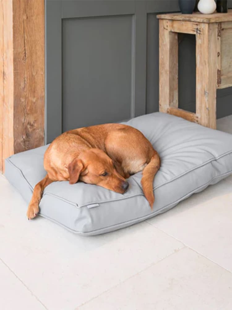 Lords and Labradors Grey Handled Dog Cushion Rhino Leather - Image 1 of 6