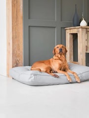 Lords and Labradors Grey Handled Dog Cushion Rhino Leather - Image 2 of 6