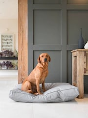 Lords and Labradors Grey Handled Dog Cushion Rhino Leather - Image 3 of 6
