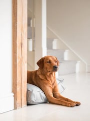 Lords and Labradors Grey Handled Dog Cushion Rhino Leather - Image 5 of 6