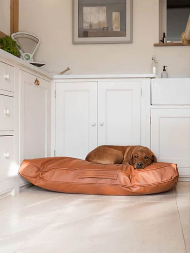 Lords and Labradors Tan Brown Handled Dog Cushion Rhino Leather - Image 1 of 5