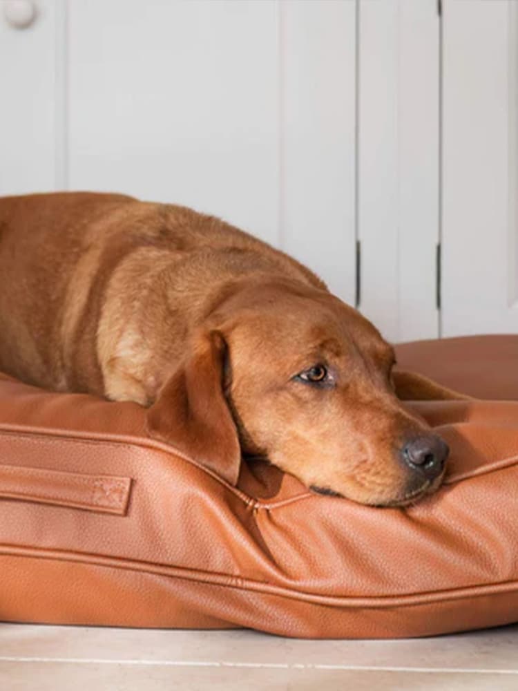 Lords and Labradors Tan Brown Handled Dog Cushion Rhino Leather - Image 2 of 5