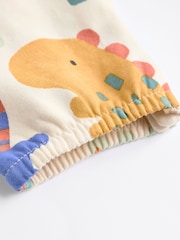 Mehrfarbig Dino - Set aus Latzhose und Body für Babys (0 Monate bis 2 Jahre) - Bild 9 von 11