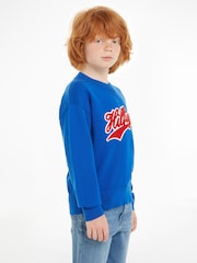 Tommy Hilfiger Blue Terry Knit Script 100% Cotton Sweater - Image 1 of 6