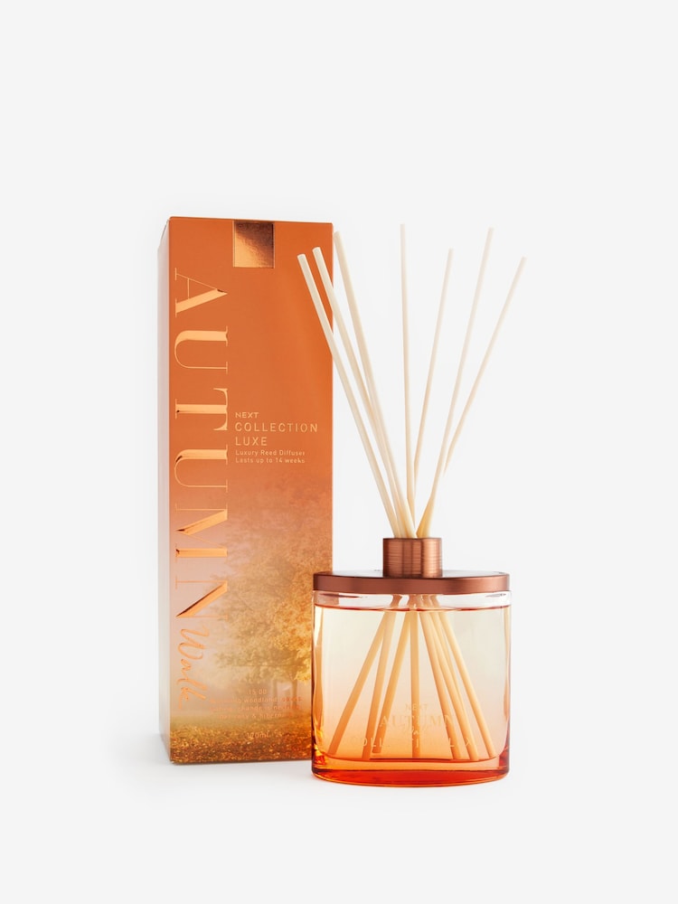 Collection Luxe Autumn Walk Pine and Vetiver Fragranced Reed Diffuser 170ml - Image 3 of 3