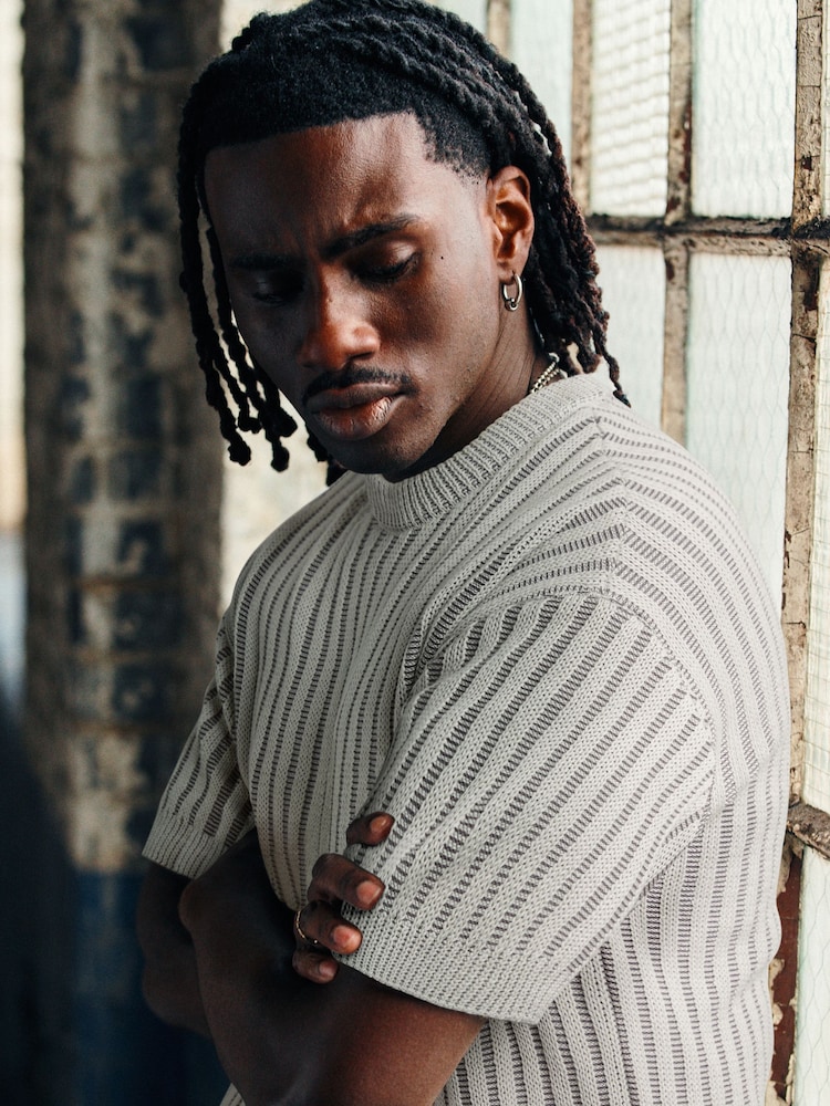Grey EDIT Relaxed Short Sleeve Knitted Crew Jumper - Image 1 of 7