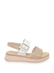 Gabor Wide Fit Aviemore Sandals - Image 1 of 5