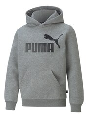 Puma Grey Youth Essentials Big Logo Hoodie - Image 1 of 2
