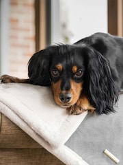 Lords and Labradors Grey Essentials Twill Dog Blanket - Image 2 of 4