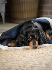 Lords and Labradors Blue Essentials Twill Dog Blanket - Image 1 of 5