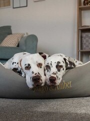 Lords and Labradors Grey Savanna Box 100% Cotton Dog Bed - Image 2 of 5