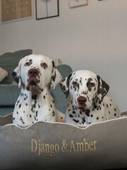 Lords and Labradors Grey Savanna Box 100% Cotton Dog Bed - Image 4 of 5
