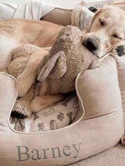 Lords and Labradors Natural High Sided Savanna 100% Cotton Dog Bed - Image 2 of 2