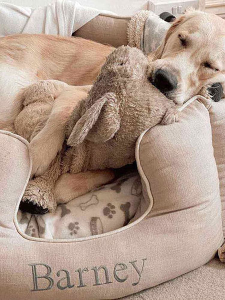 Lords and Labradors Natural High Sided Savanna 100% Cotton Dog Bed - Image 2 of 2