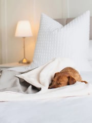 Lords and Labradors Grey Savanna 100% Cotton Dog Blanket - Image 1 of 2