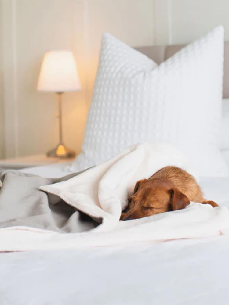 Lords and Labradors Grey Savanna 100% Cotton Dog Blanket - Image 1 of 2