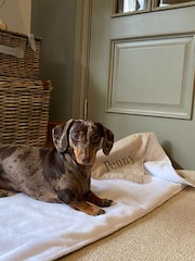 Lords and Labradors Natural Savanna 100% Cotton Dog Blanket - Image 3 of 3
