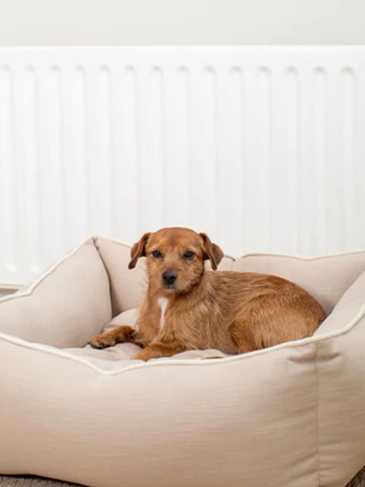 Lords and Labradors Natural Savanna Box 100% Cotton Dog Bed - Image 2 of 6