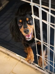 Lords and Labradors Blue Essentials Twill Dog Crate Mat - Image 2 of 4