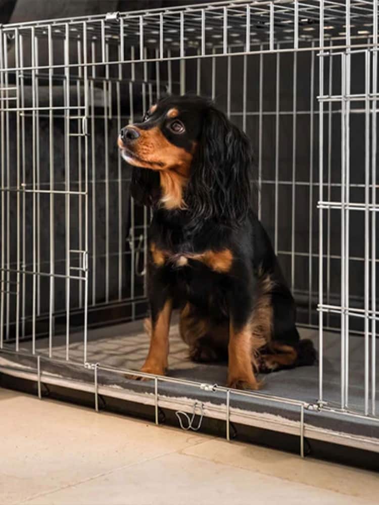 Lords and Labradors Grey Essentials Twill Dog Crate Mat - Image 1 of 5