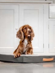 Lords and Labradors Grey Essentials Twill Orthopaedic Dog Mattress - Image 1 of 5