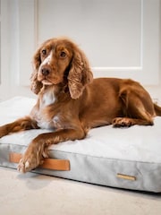 Lords and Labradors Natural Essentials Twill Orthopaedic Dog Mattress - Image 1 of 4