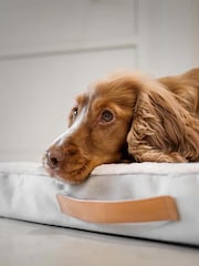 Lords and Labradors Natural Essentials Twill Orthopaedic Dog Mattress - Image 2 of 4