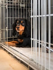 Lords and Labradors Natural Essentials Twill Dog Crate Mat - Image 1 of 5