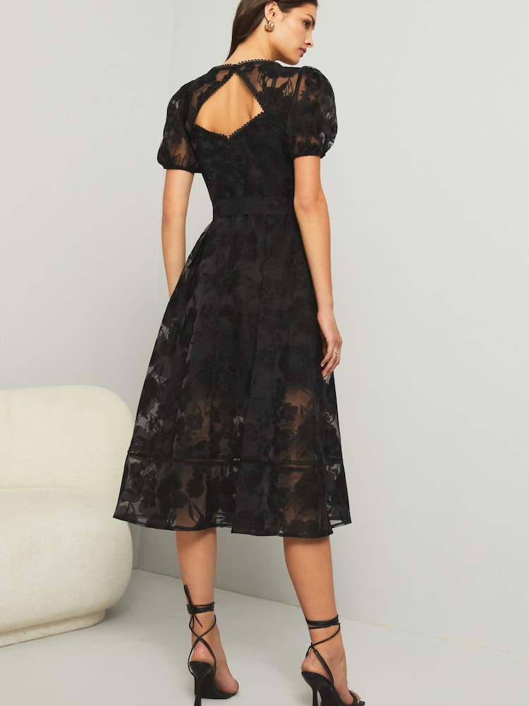 Lipsy Hochwertiges Midi-Skaterkleid mit Gürtel und Ausbrennermuster - Bild 2 von 4
