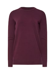 Long Tall Sally Purple Knitted Crew Neck Jumper - Image 4 of 4
