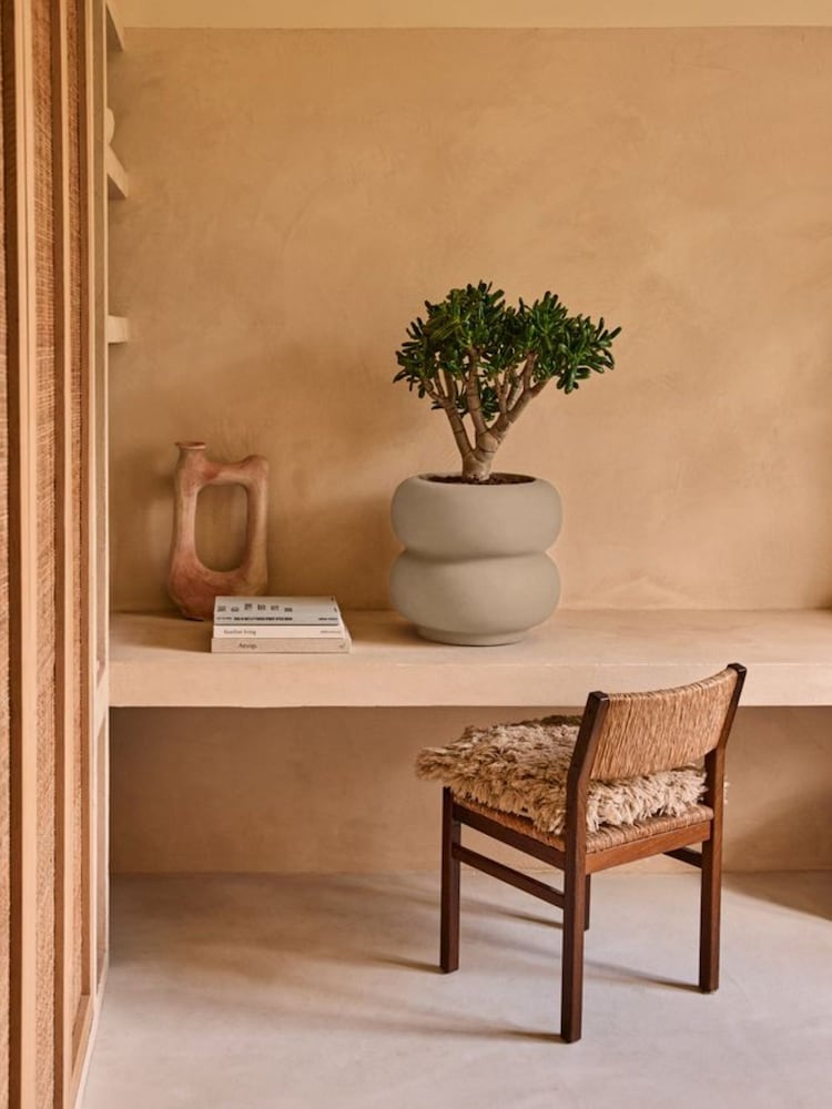elho Beige Amber Roll Low Indoor and Outdoor Plant Pot - Image 1 of 6 elho Beige Amber Roll Low Indoor and Outdoor Plant Pot - Image 1 of 6