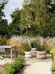 elho Beige Amber Roll Low Indoor and Outdoor Plant Pot - Image 2 of 6