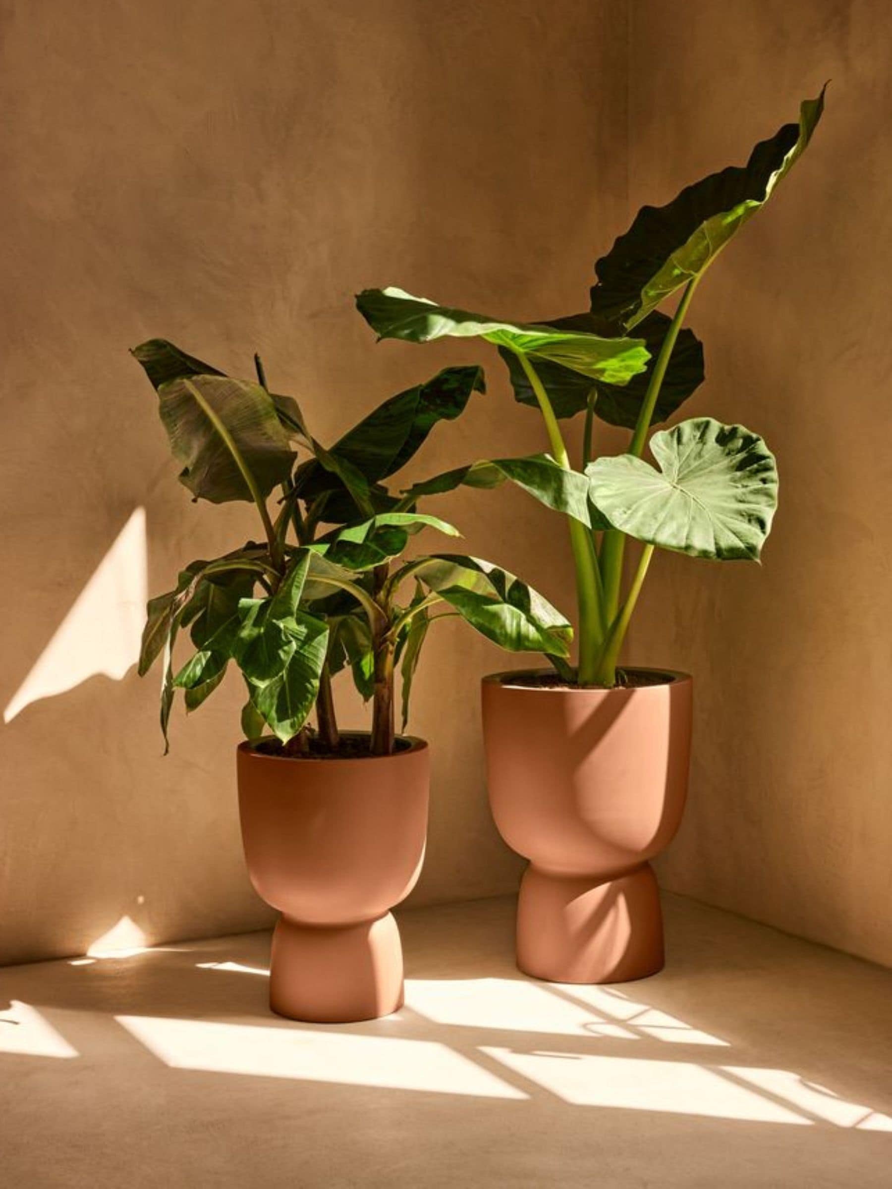 Elho Amber Coupe Plant Pot 35cm in Cream, Durable Plastic Garden and Home Flower Pot - Image 6