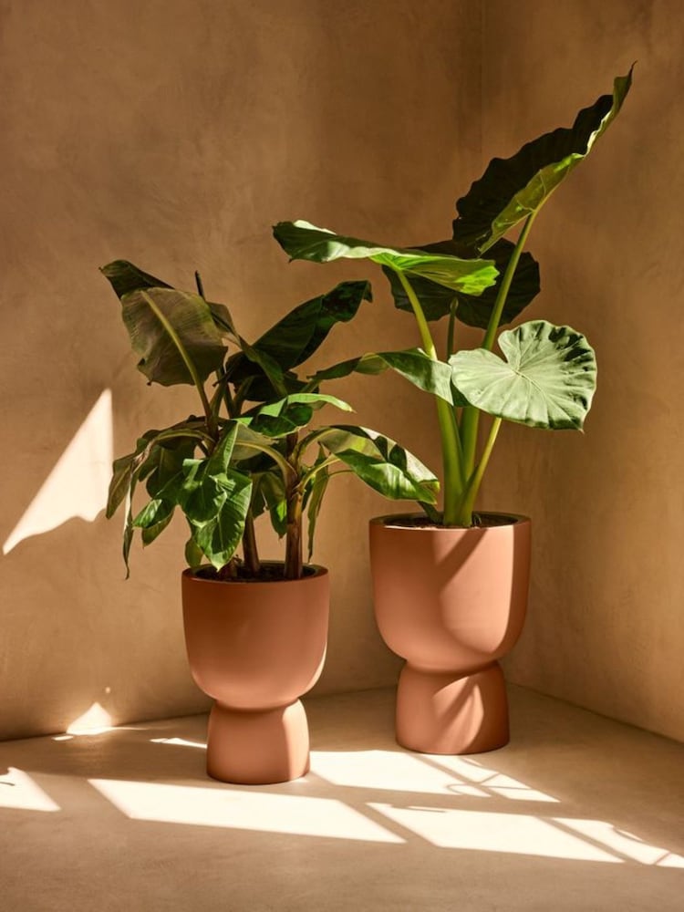 elho Brown Amber Coupe Indoor and Outdoor Plant Pot - Image 1 of 6 elho Brown Amber Coupe Indoor and Outdoor Plant Pot - Image 1 of 6