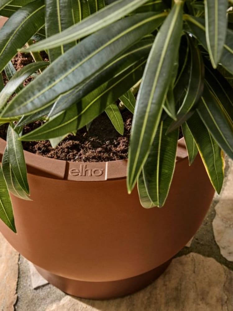 elho Brown Amber Coupe Indoor and Outdoor Plant Pot - Image 2 of 6 elho Brown Amber Coupe Indoor and Outdoor Plant Pot - Image 2 of 6