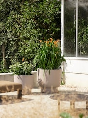 elho Beige Amber Grail Indoor and Outdoor Plant Pot - Image 2 of 6