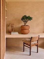 elho Brown Amber Roll Low Indoor and Outdoor Plant Pot - Image 2 of 6