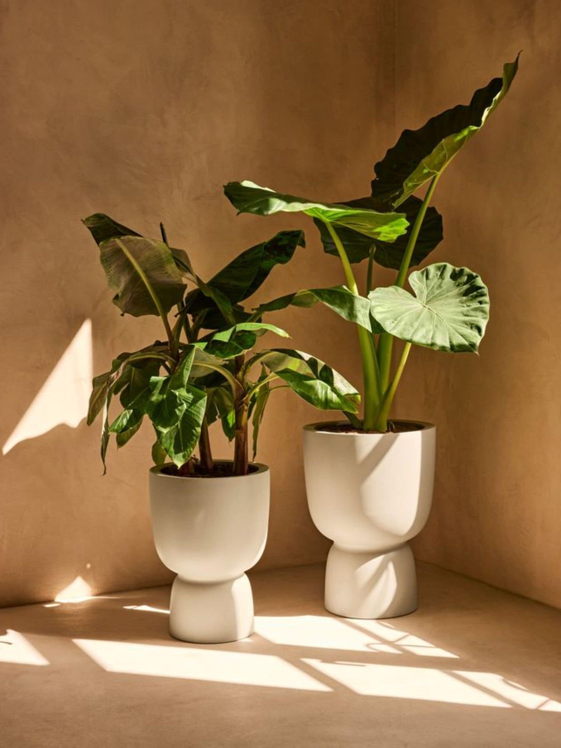 Charles Bentley Unisex White Elho Amber Coupe Indoor & Outdoor Plant Pot Size 41 - Image 5