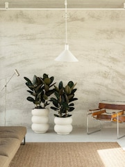 elho White Amber Roll High Indoor and Outdoor Plant Pot - Image 1 of 6