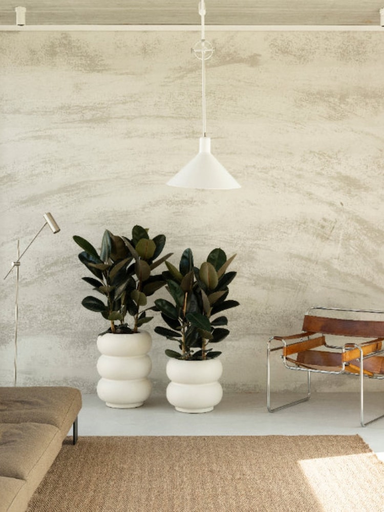 elho White Amber Roll High Indoor and Outdoor Plant Pot - Image 1 of 6 elho White Amber Roll High Indoor and Outdoor Plant Pot - Image 1 of 6