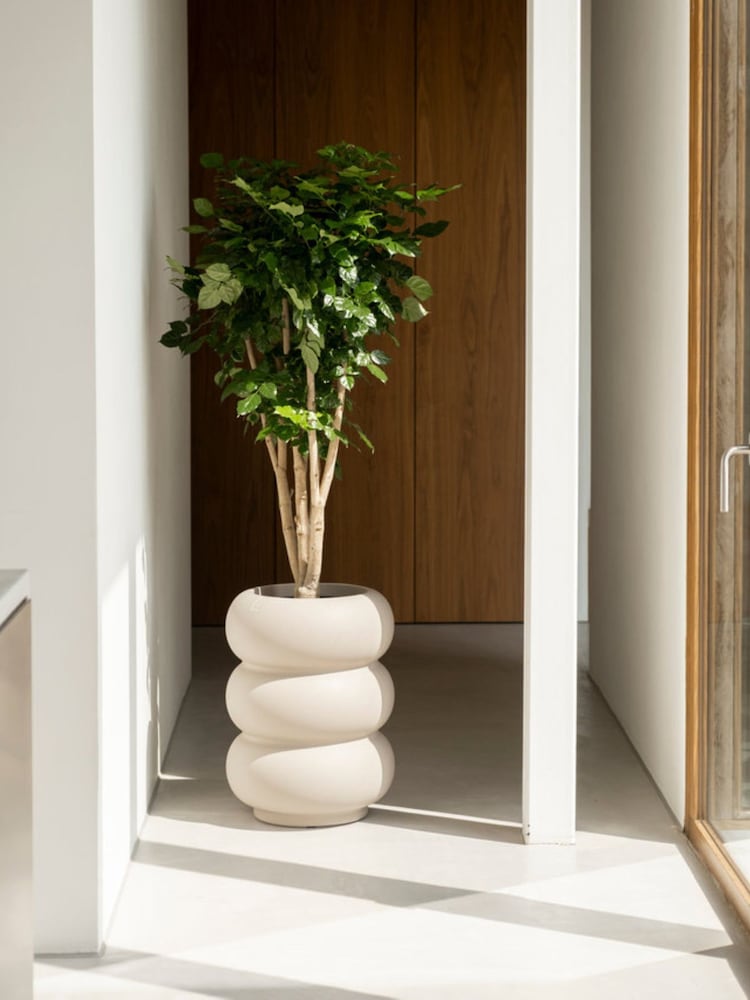 elho Beige Amber Roll High Indoor and Outdoor Plant Pot - Image 1 of 6 elho Beige Amber Roll High Indoor and Outdoor Plant Pot - Image 1 of 6