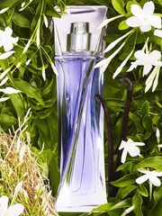 Lancôme Hypnose Eau de Parfum Vapo 30ml - Image 3 of 3