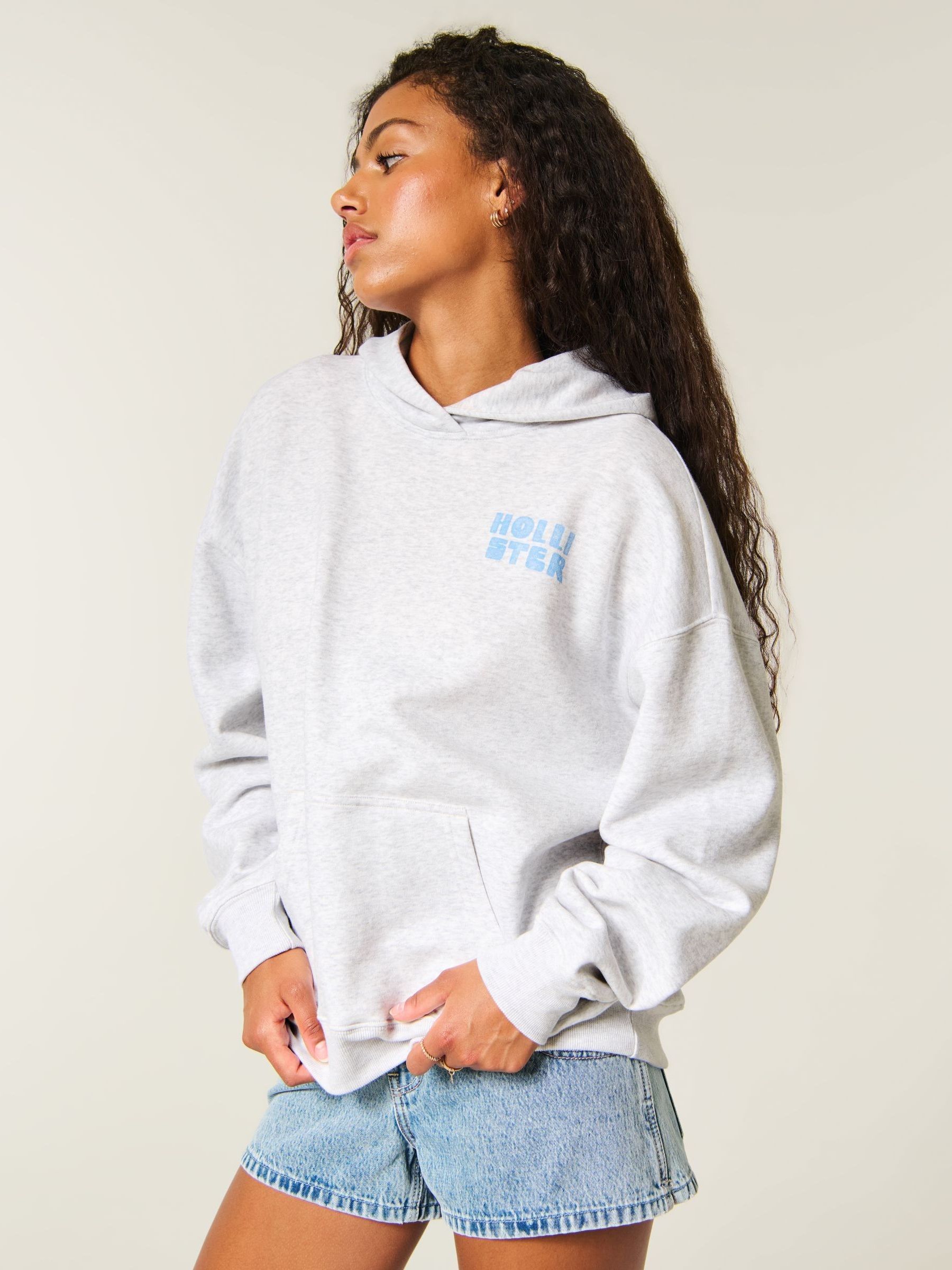Buy Hollister Grey Graphic Hoodie from Next USA