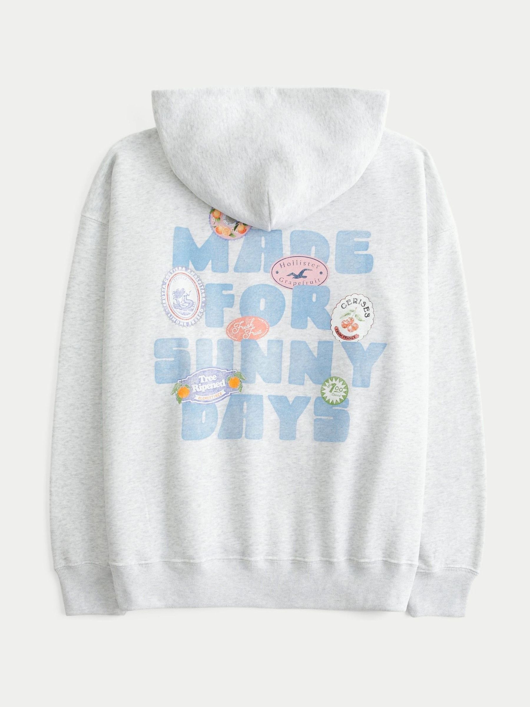 Buy Hollister Grey Graphic Hoodie from Next USA