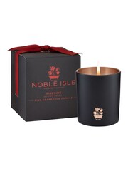 Noble Isle Fireside Single Wick Candle - Mynwy Valley - Warming And Cosy - Image 1 of 1