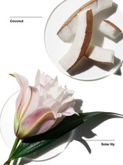 Clinique My Happy Lily Of The Beach 15ml - Image 2 of 4